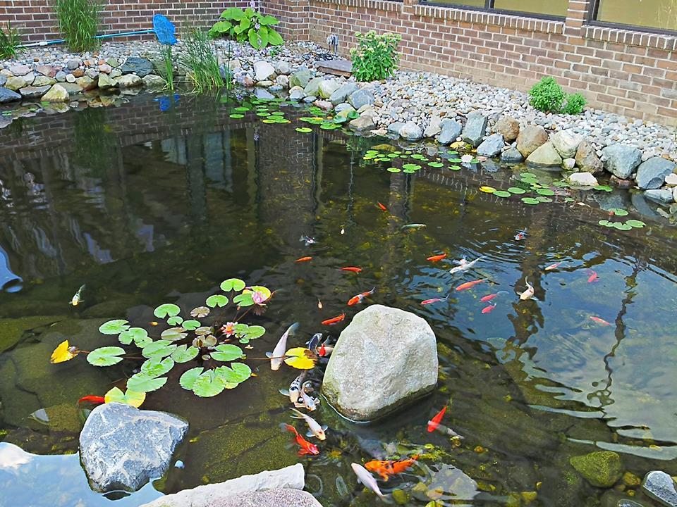 Causeway Bay Hotel Lansing Ngoại thất bức ảnh